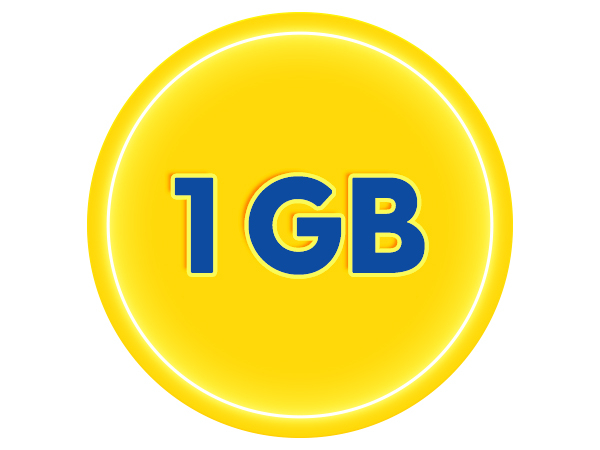Monthly 1GB Internet